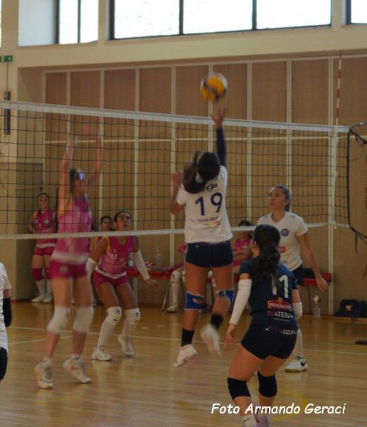 DSC03803y_tn.jpg