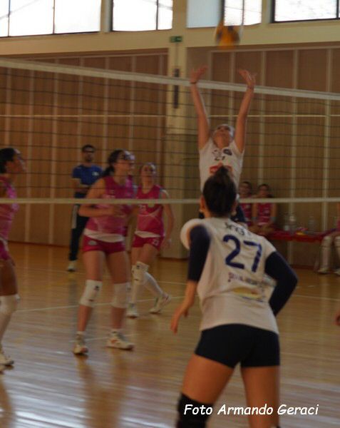 DSC03805y_tn.jpg
