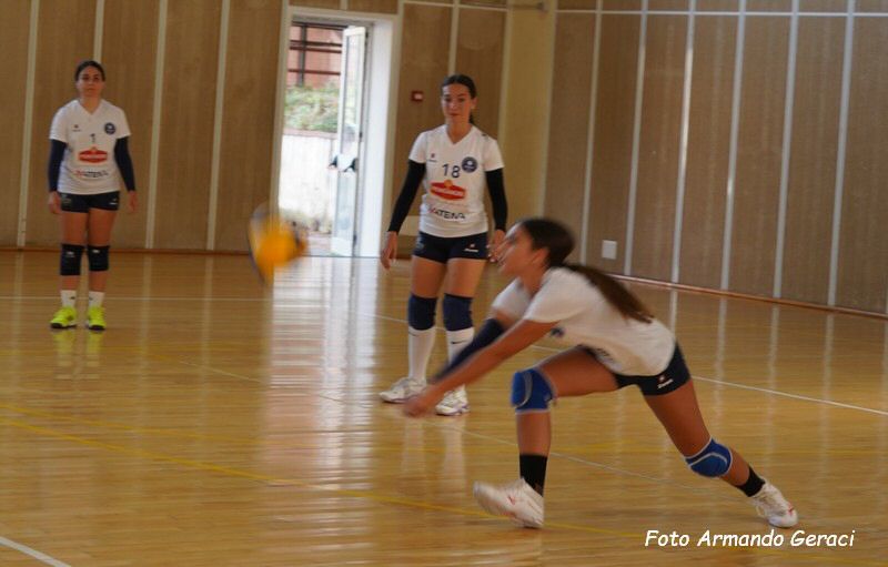 DSC03816y_tn.jpg