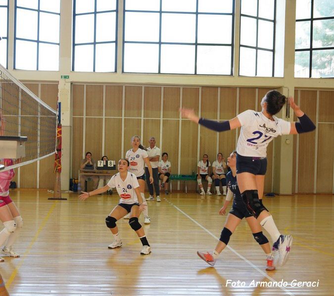 DSC03820y_tn.jpg