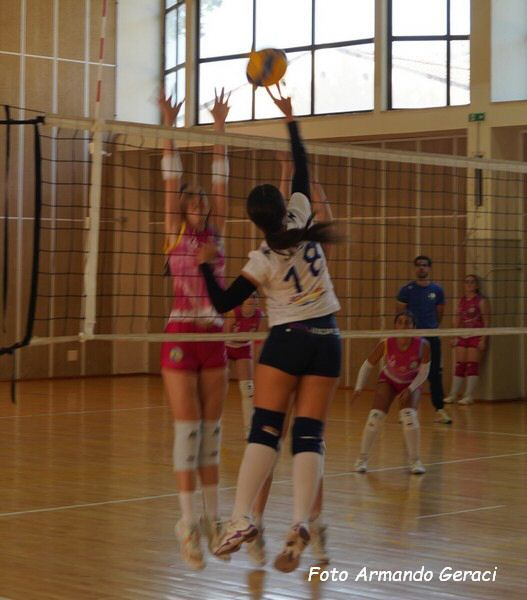 DSC03827y_tn.jpg