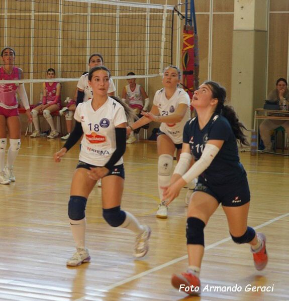 DSC03829y_tn.jpg