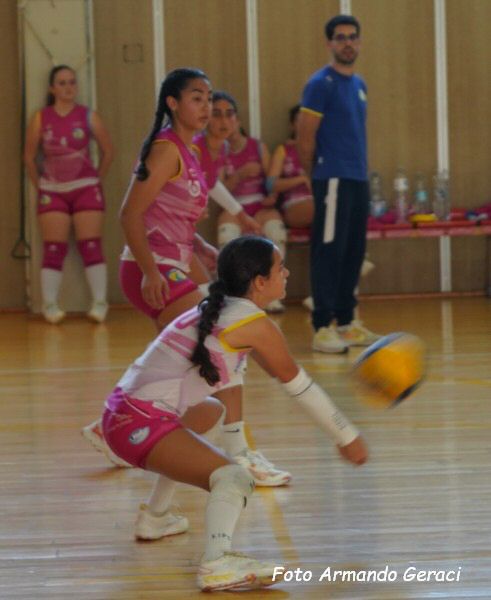 DSC03833y_tn.jpg