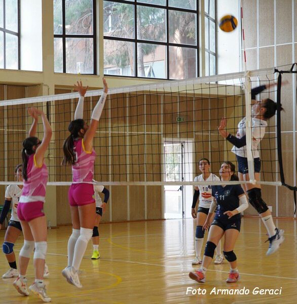 DSC03851y_tn.jpg