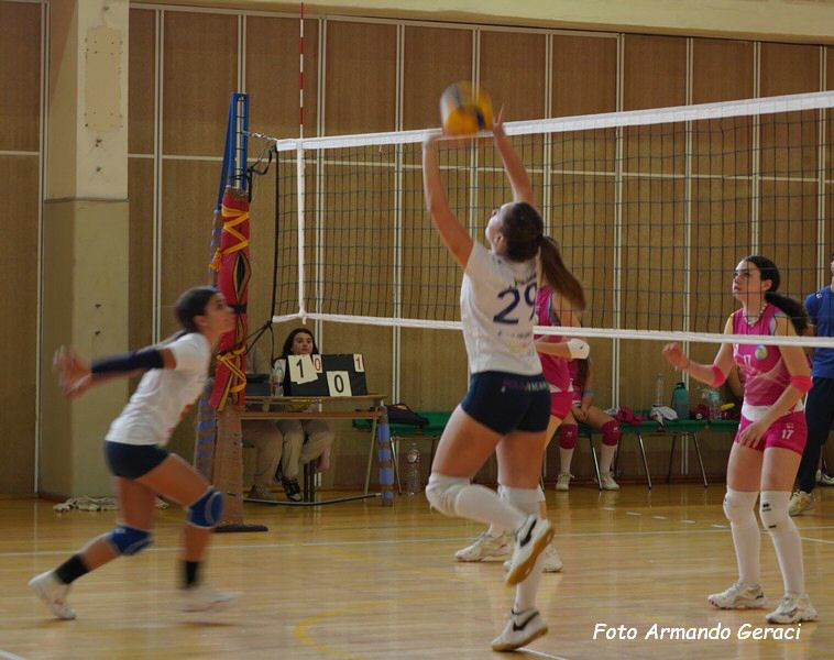 DSC03860y_tn.jpg