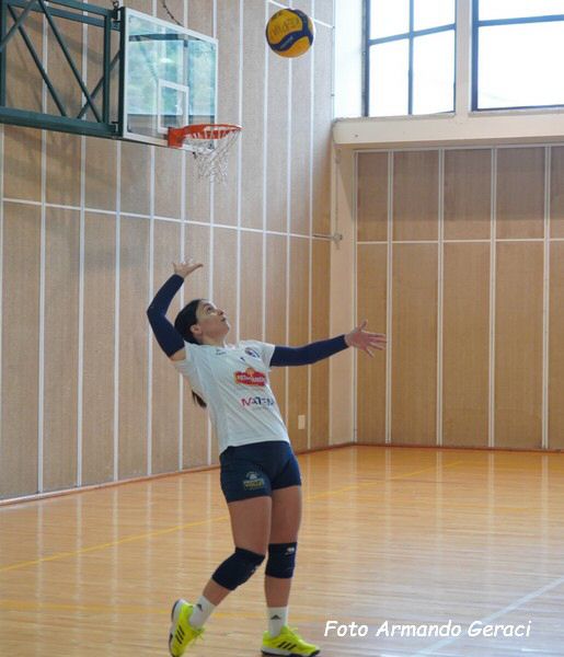 DSC03867y_tn.jpg