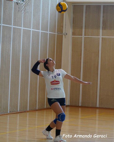 DSC03875y_tn.jpg