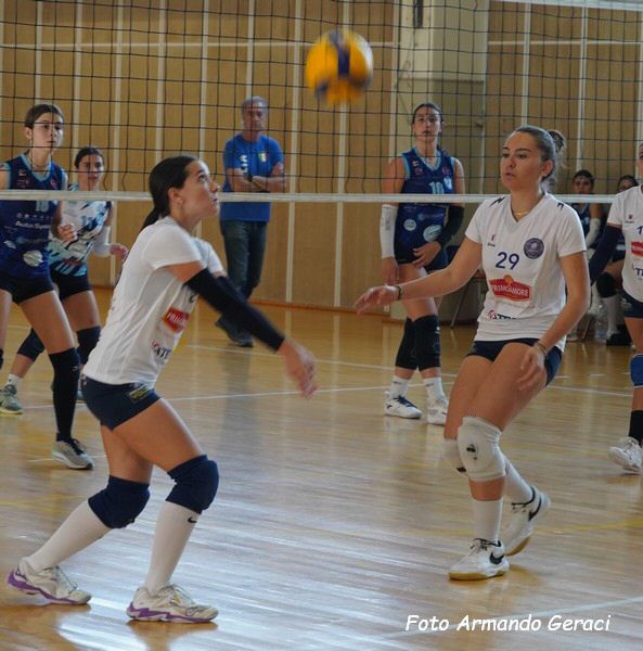 DSC04427y_tn.jpg
