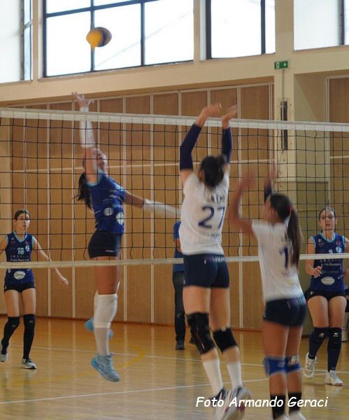DSC04437y_tn.jpg