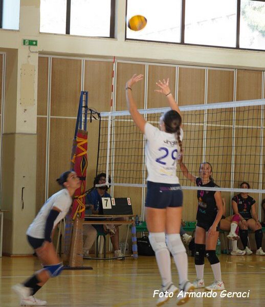 DSC04520y_tn.jpg