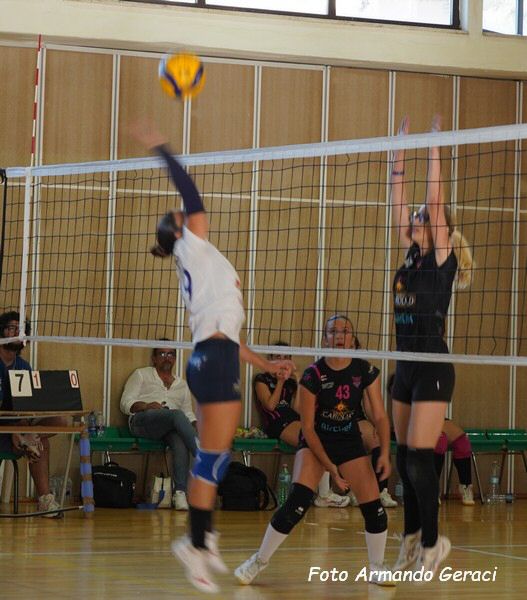DSC04521y_tn.jpg