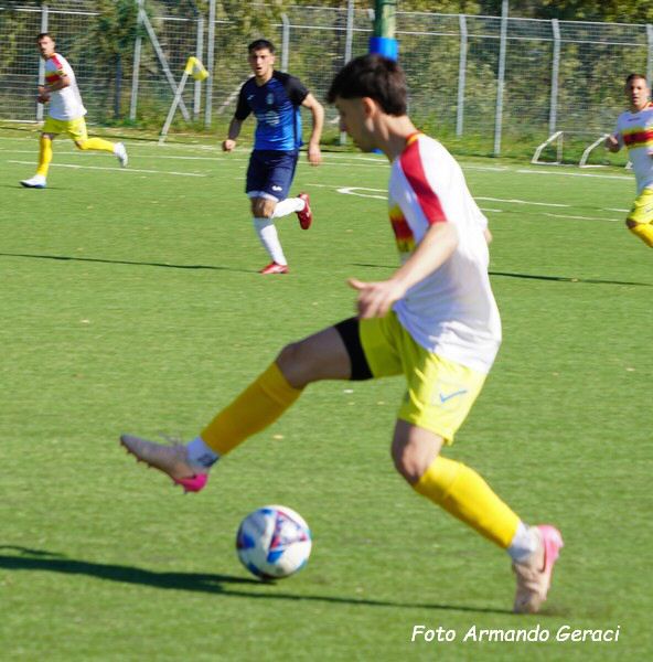 DSC00645y_tn.jpg