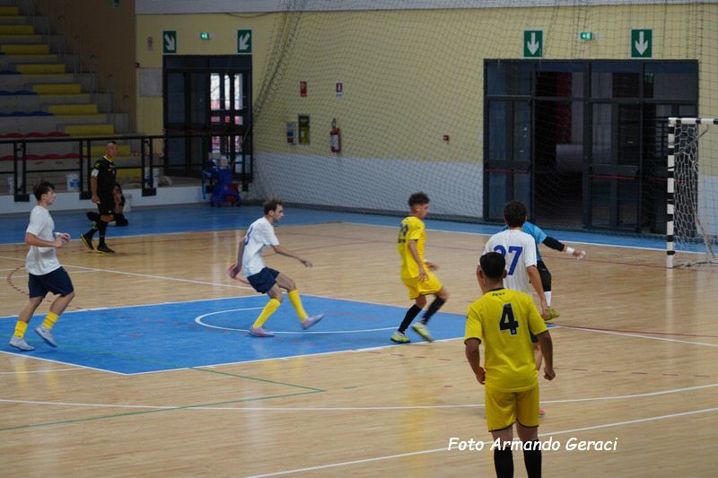 DSC06313_tn.jpg