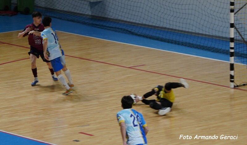 DSC02203y_tn.jpg