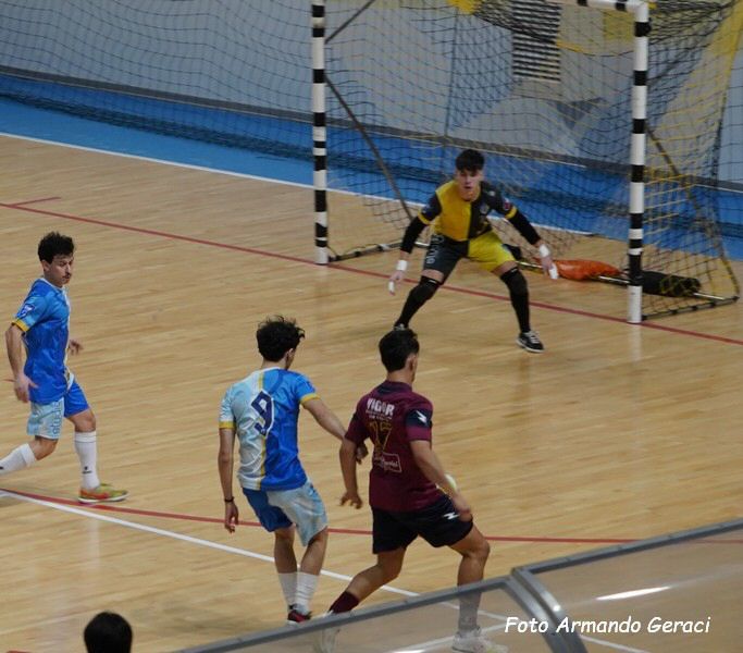 DSC02229y_tn.jpg