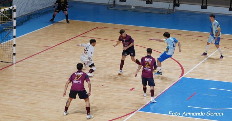 DSC02243y_tn.jpg