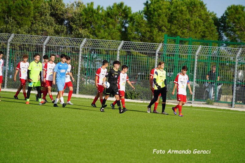 DSC08674_tn.jpg
