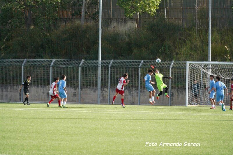 DSC08705_tn.jpg
