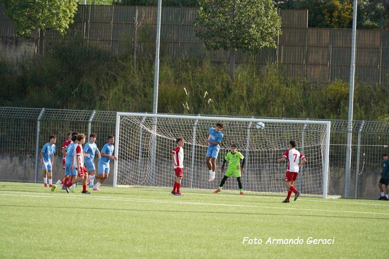DSC08706_tn.jpg