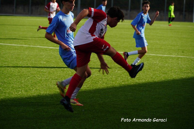 DSC08715_tn.jpg