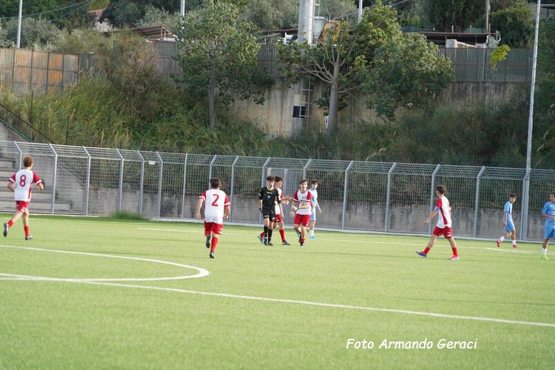 DSC08741_tn.jpg