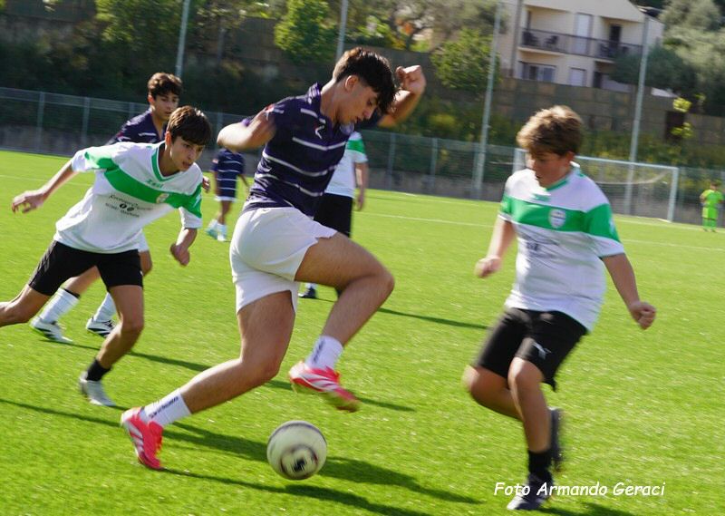DSC00813y_tn.jpg