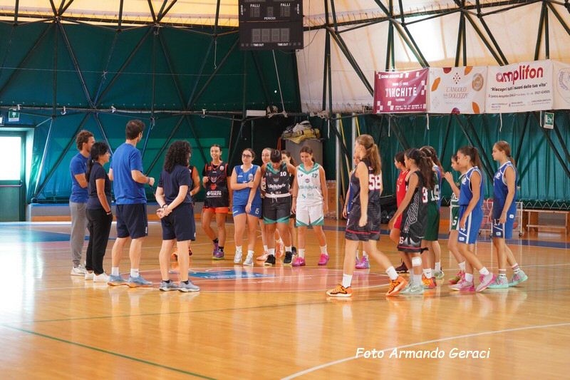 DSC08433_tn.jpg