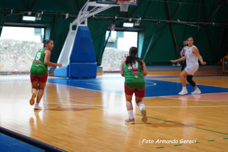 DSC08597_tn.jpg