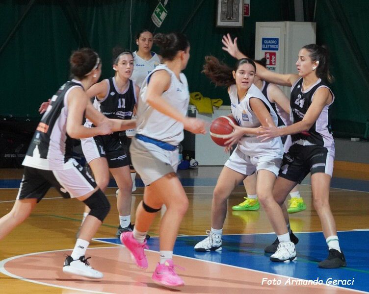 DSC04186y_tn.jpg