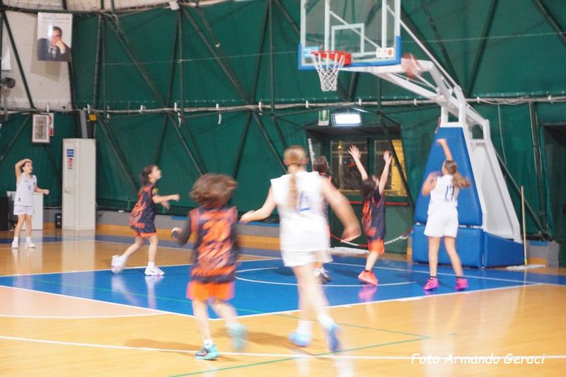 DSC05099_tn.jpg