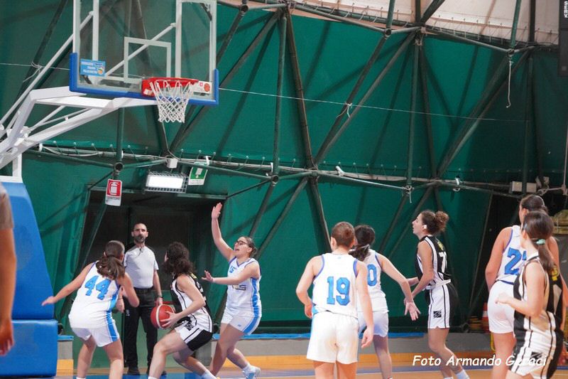 260110_Zannella_EriceTP_CF115.jpg