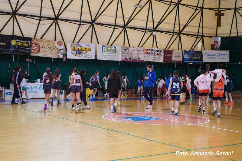 DSC03329_tn.jpg