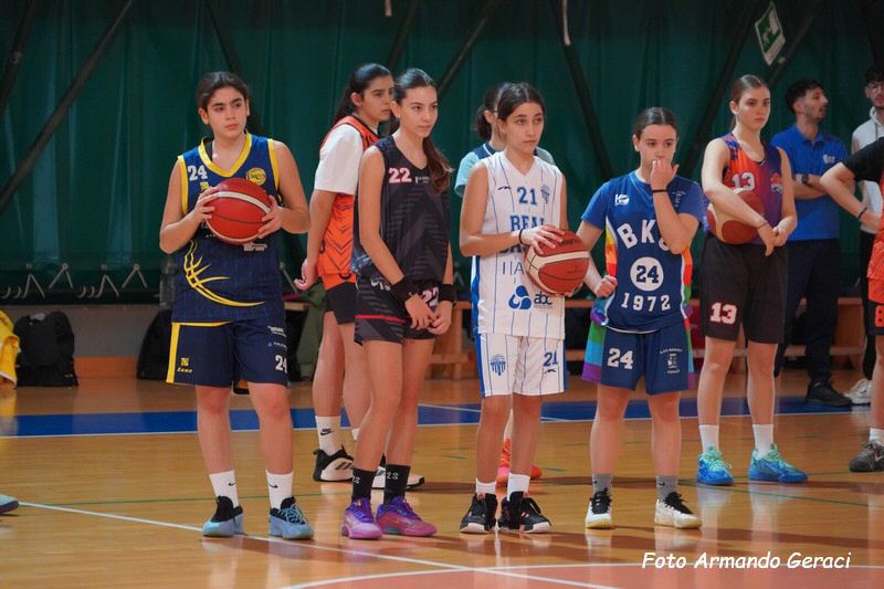 DSC03336_tn.jpg