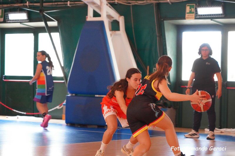 DSC03377_tn.jpg