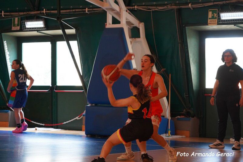 DSC03378_tn.jpg