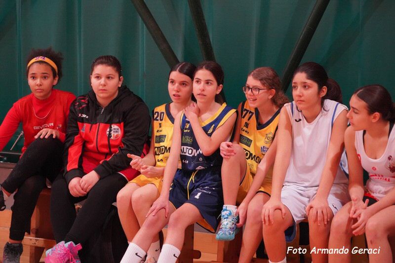 DSC03471_tn.jpg