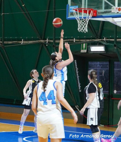 DSC06843y_tn.jpg