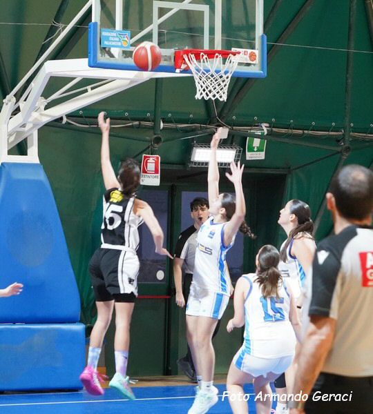 DSC06850y_tn.jpg