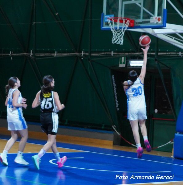 DSC06893y_tn.jpg