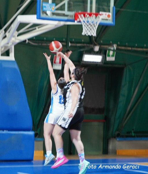 DSC06903y_tn.jpg
