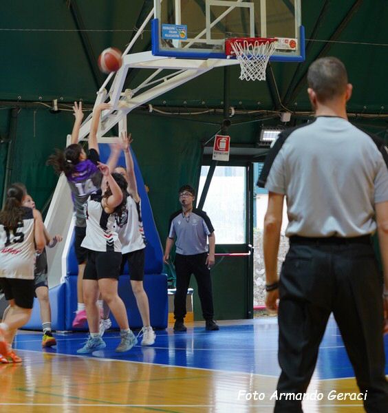 DSC01810y_tn.jpg