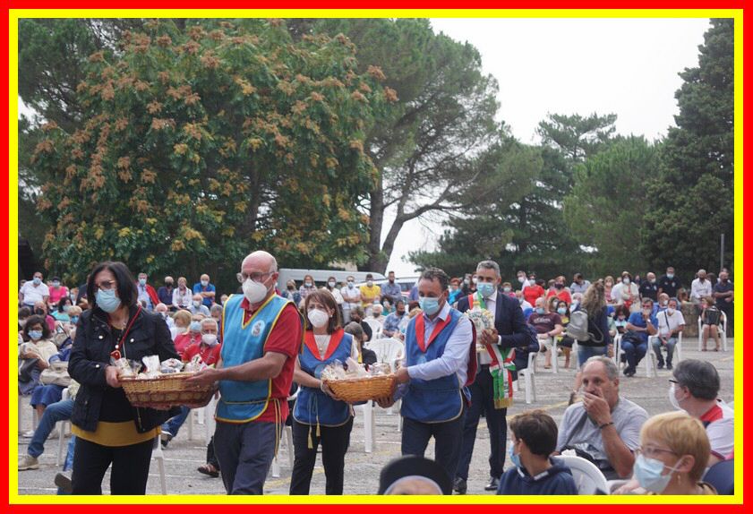 DSC08379_tn.jpg